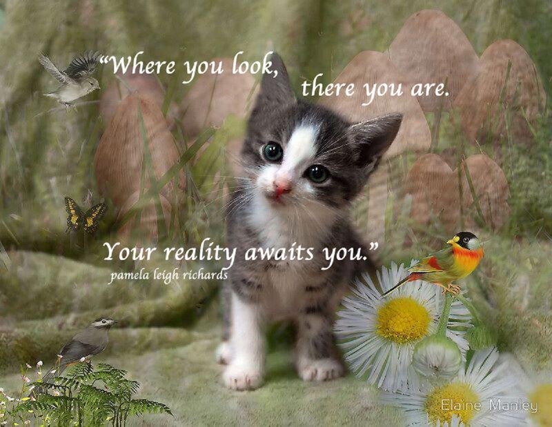 Kitten in Garden — Green, Serene