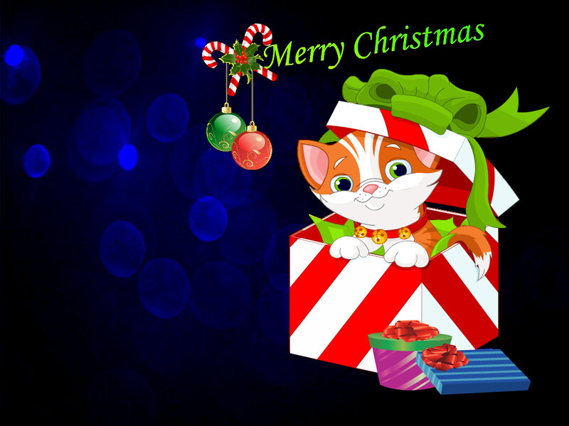Kitten in Gift Box — Red