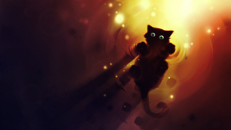 kitten in glowing light