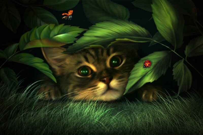 Kitten in Grass — Green, Calm, Night