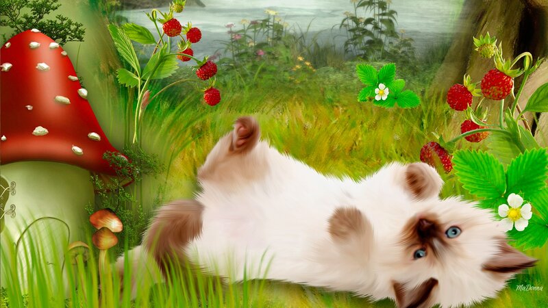 Kitten in Grass — Green, Serene, Spring, Digital Art, Strawberries