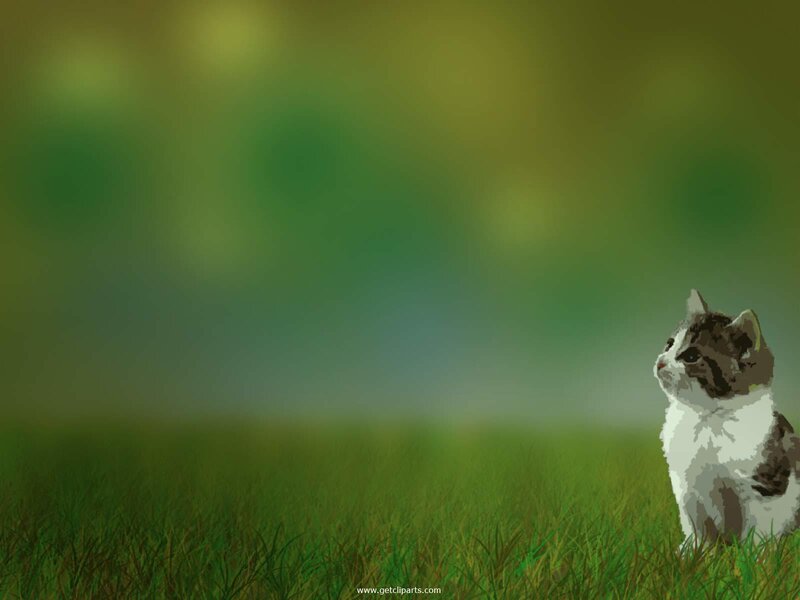 kitten in green field