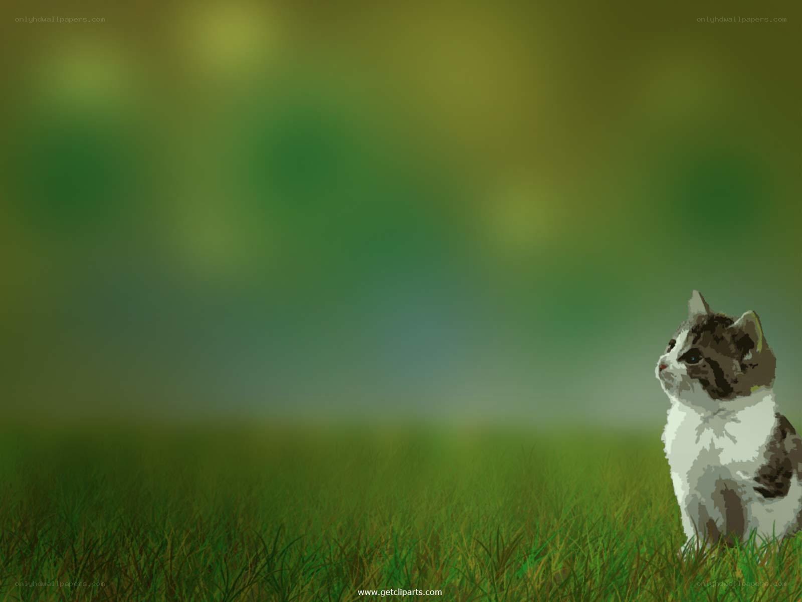 kitten in green field