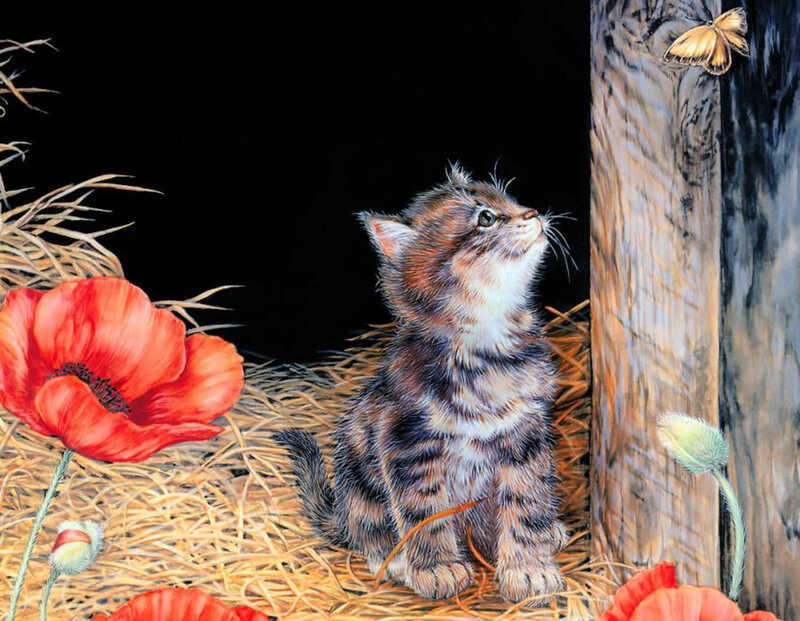 Kitten in Hay — Red, Calm, Illustration