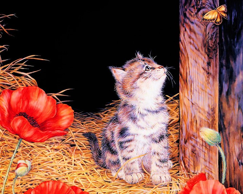 Kitten in Hay — Red, Calm