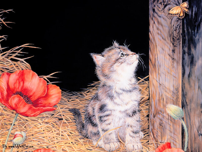 Kitten in Hay — Red