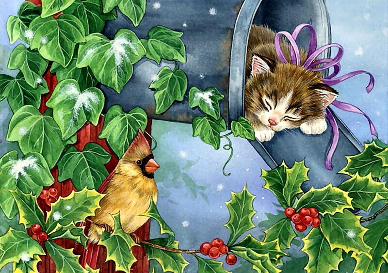 Kitten in Mailbox — Green, Peaceful, Winter