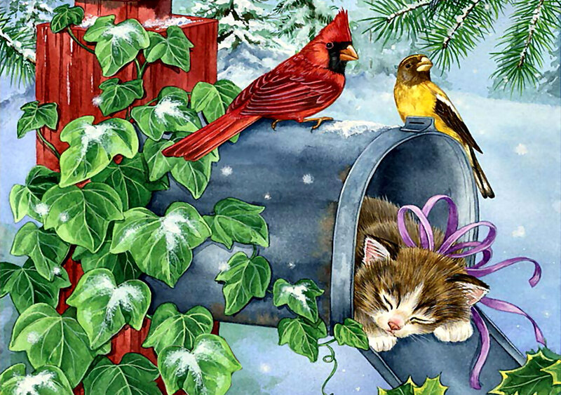 Kitten in Mailbox — Green