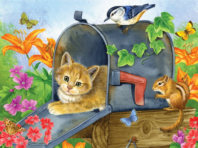 Kitten in Mailbox — Orange