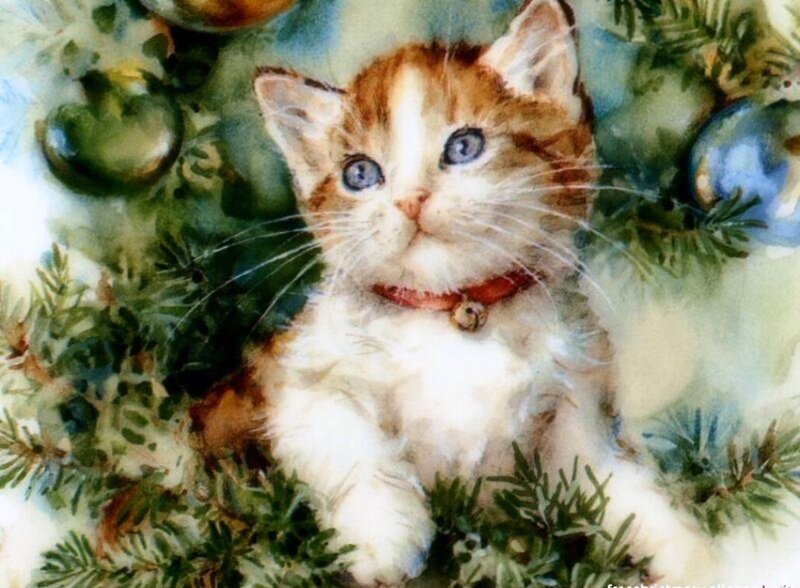 Kitten in Pine Branches — Green