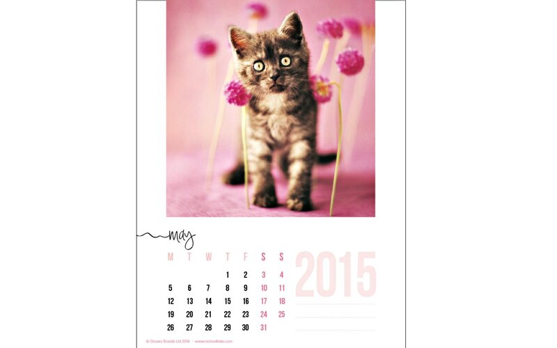 Kitten in Pink Flowers — Playful