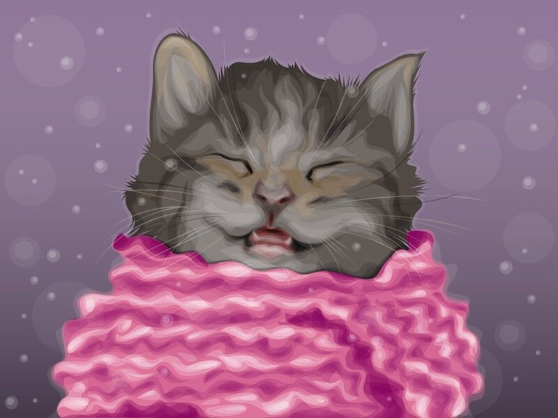 kitten in pink scarf