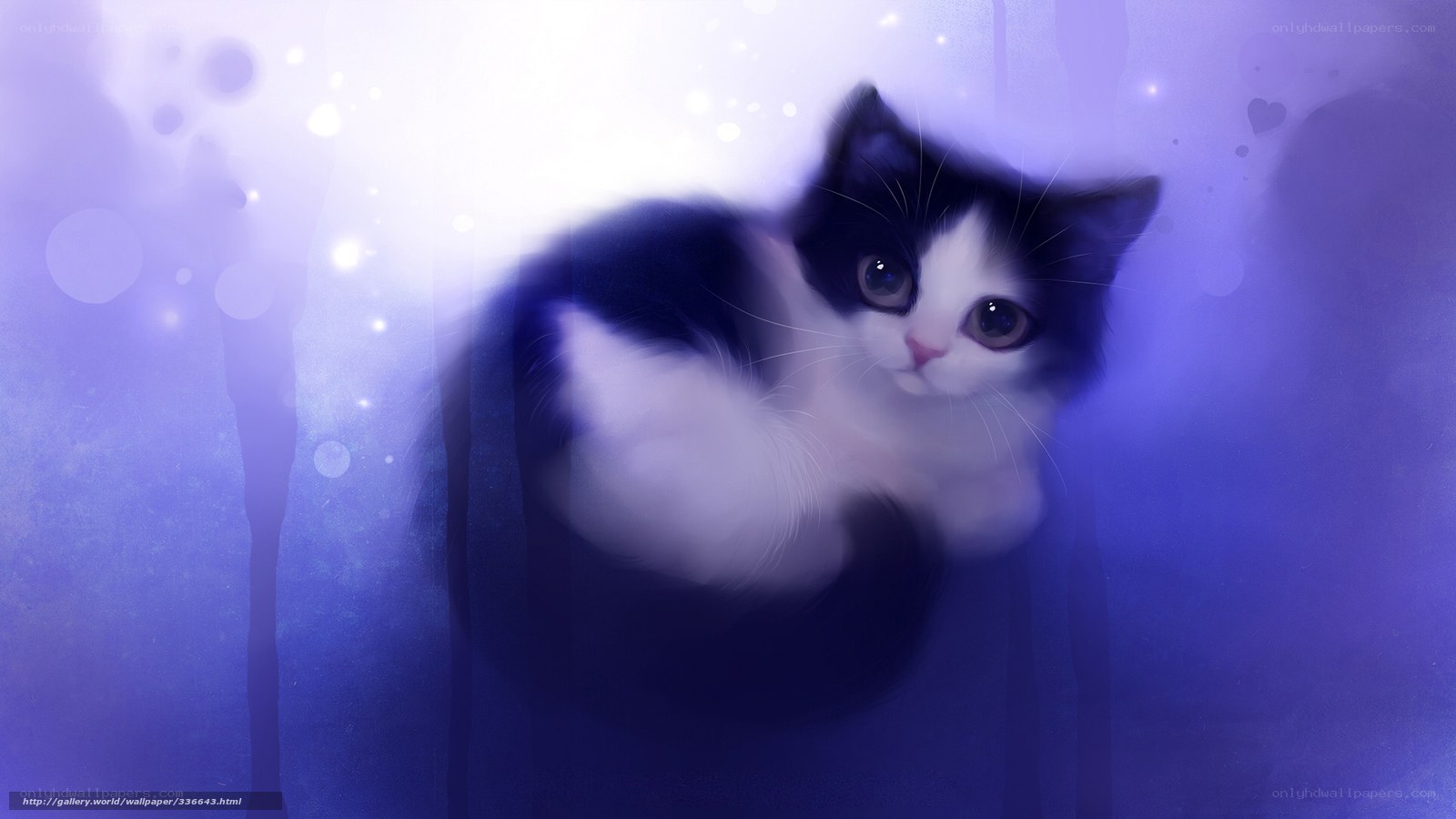 kitten in purple light