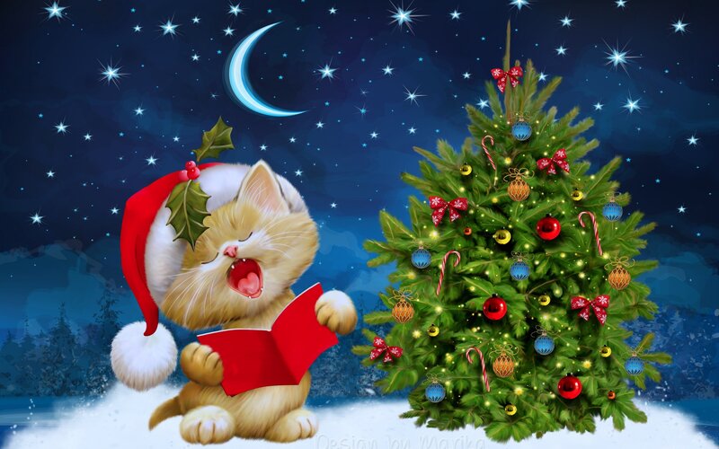 Kitten in Santa Hat — Blue, Festive