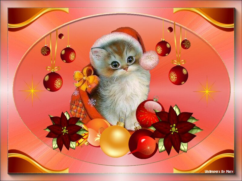 Kitten in Santa Hat — Red, Festive, Winter, Digital Art, Christmas Ornaments