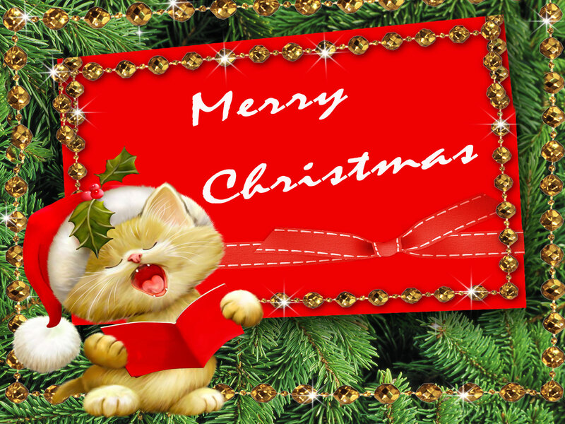 Kitten in Santa Hat — Red, Festive, Winter, Digital Art