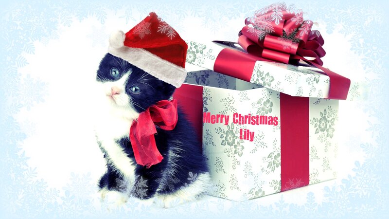 Kitten in Santa Hat — White