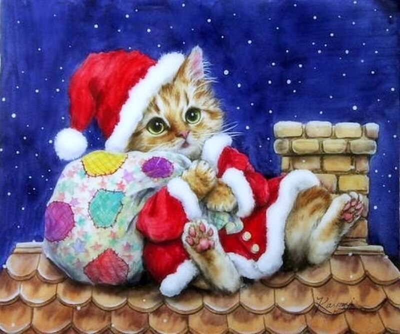Kitten in Santa Suit — Blue