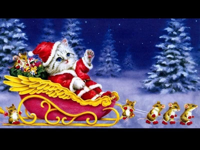 Kitten in Santa Suit