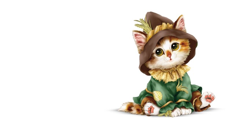 Kitten in Scarecrow Costume