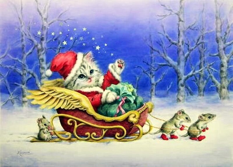 Kitten in Sleigh