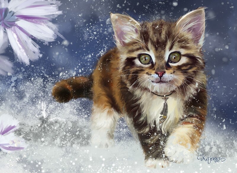 Kitten in Snow — Brown