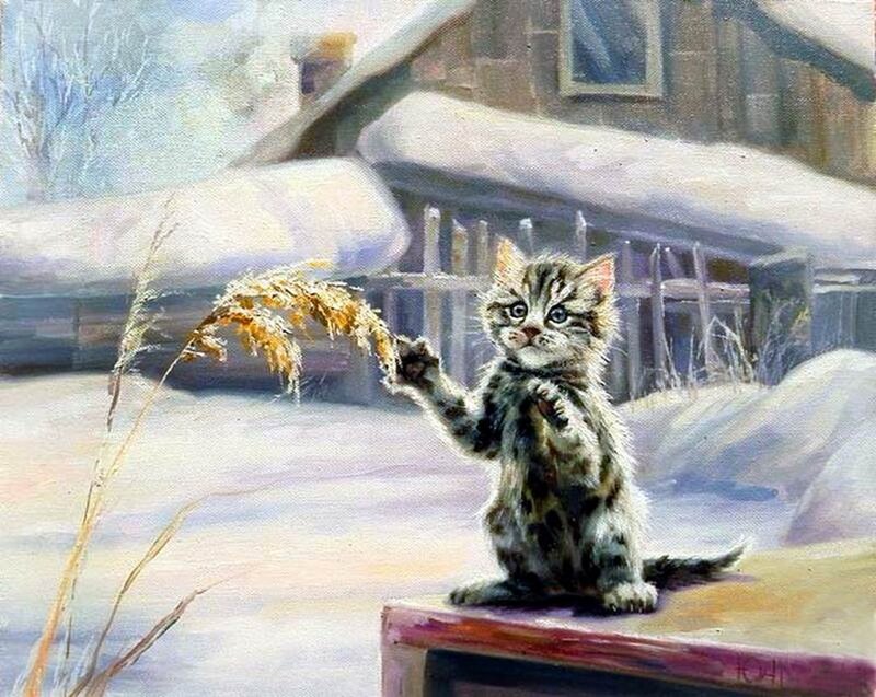 Kitten in Snow — White, Calm, Winter