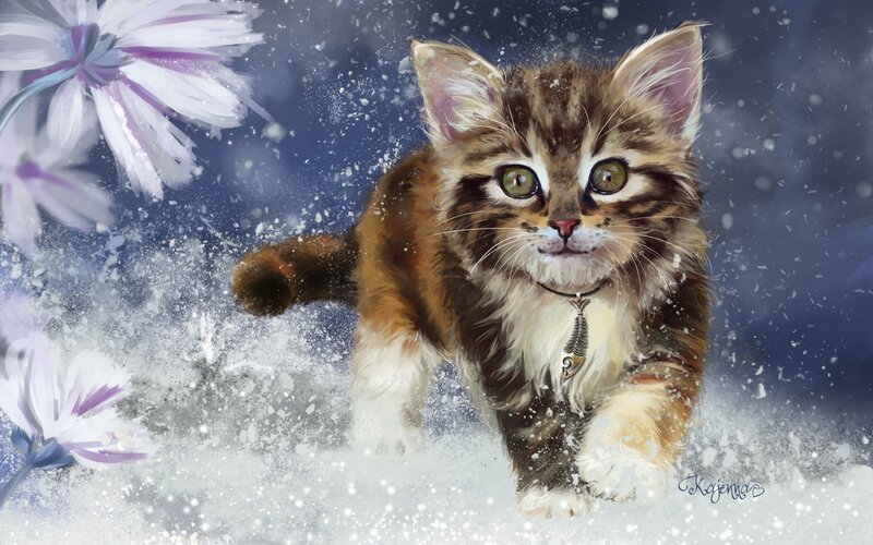Kitten in Snow — White, Playful