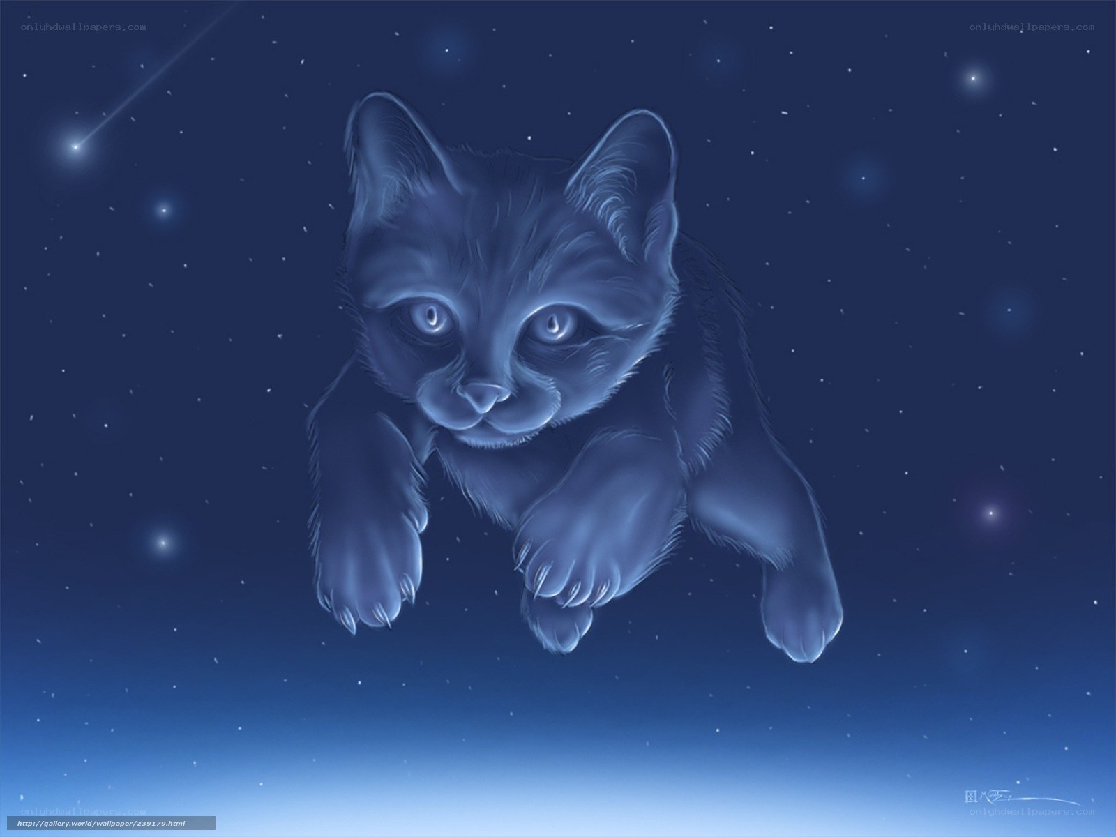 kitten in starry night