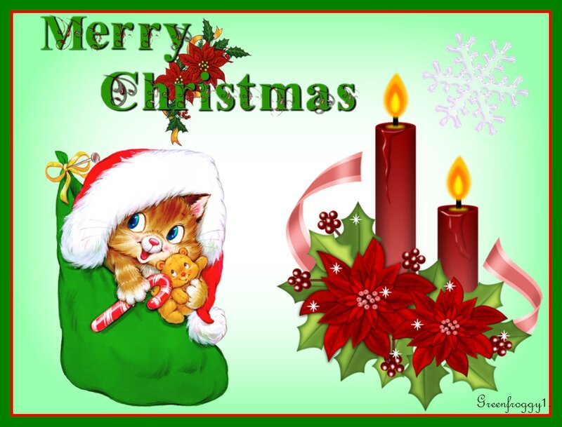Kitten in Stocking — Green