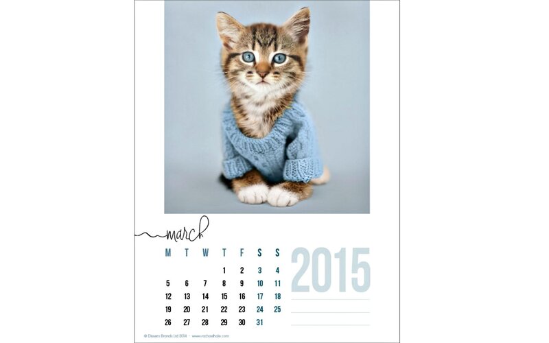 Kitten in Sweater — Gray