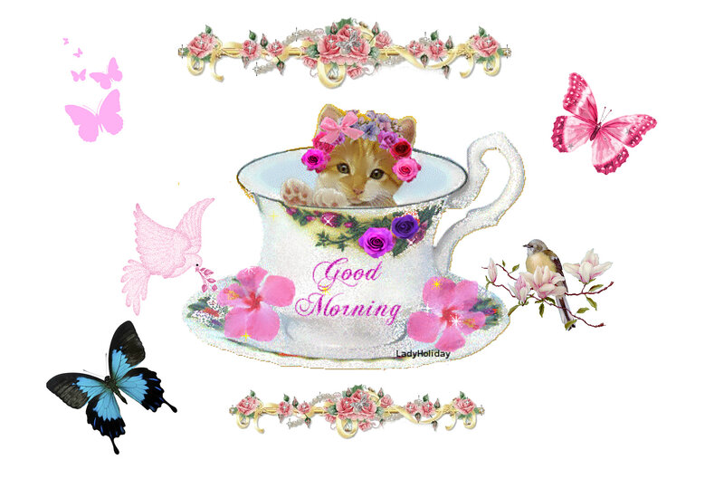 Kitten in Teacup