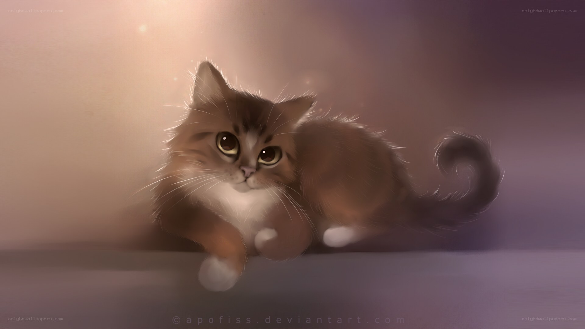 kitten in warm light