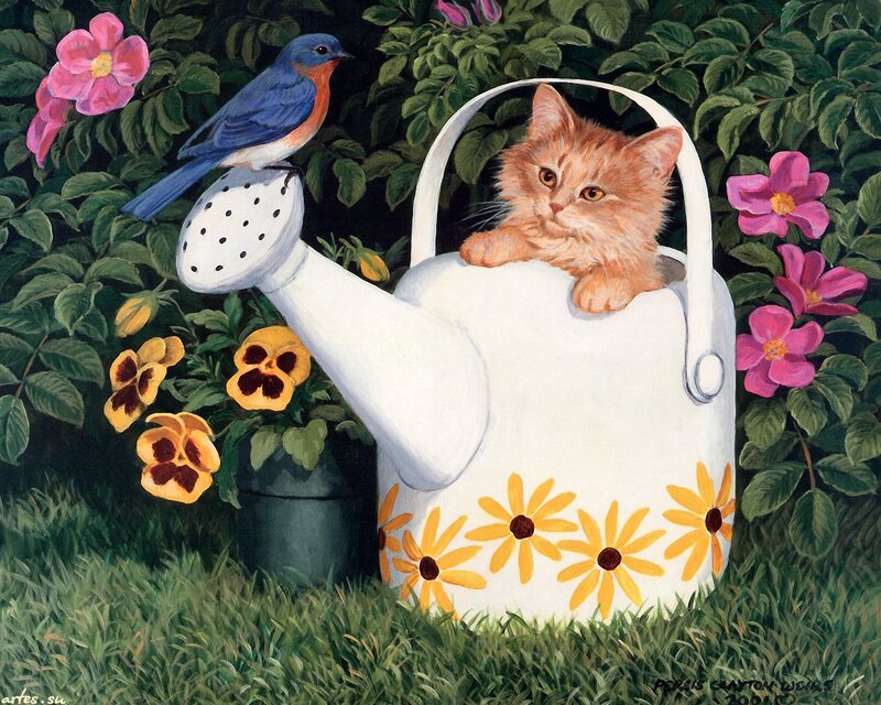 Kitten in Watering Can