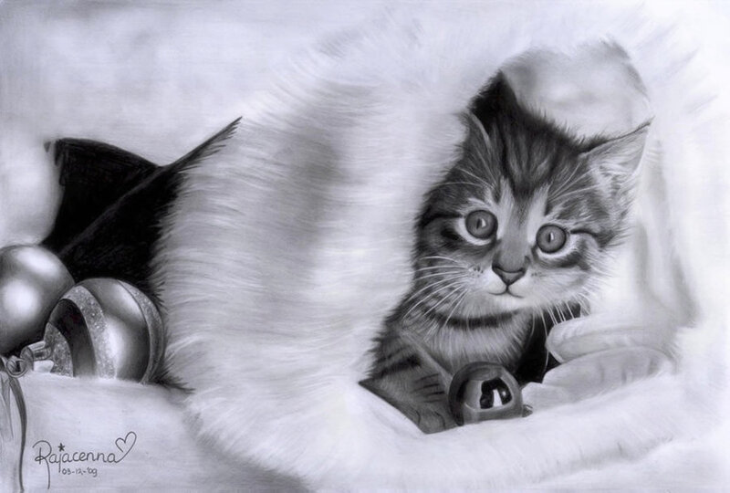 Kitten in White Fur
