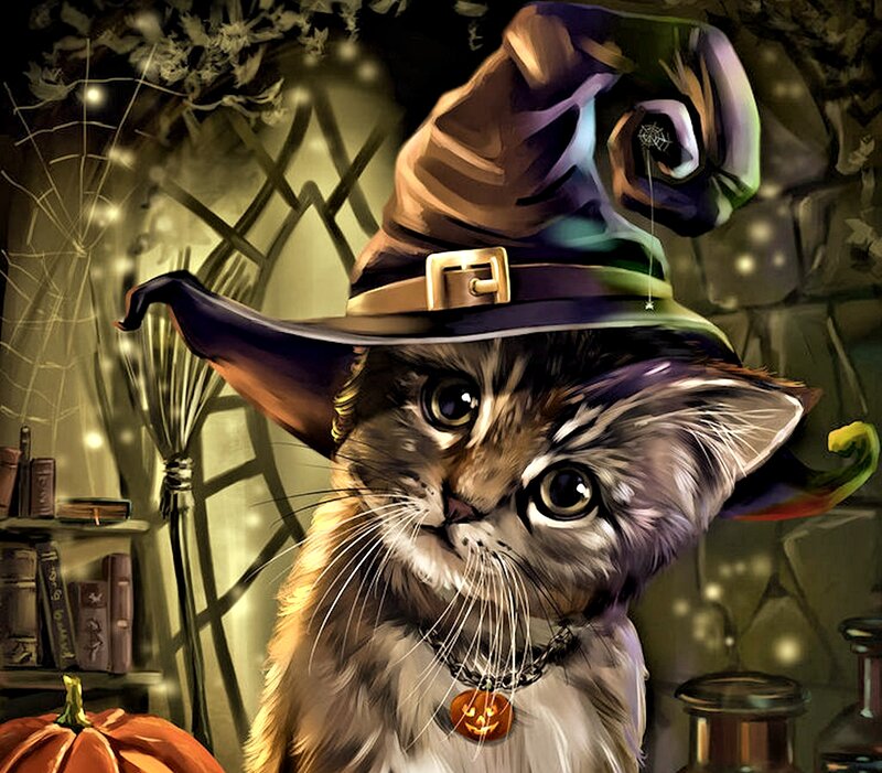 Kitten in Witch Hat — Brown
