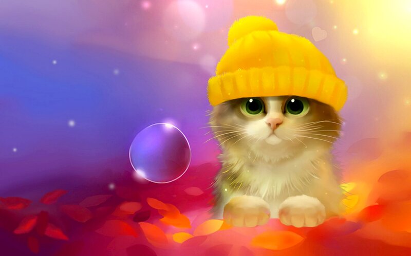 Kitten in Yellow Hat