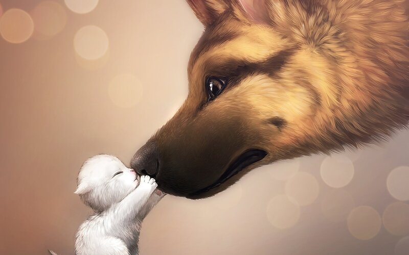 Kitten Kissing Dog — Brown, Tender, Digital Art