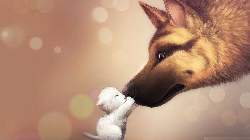 Kitten Kissing Dog — Brown, Tender