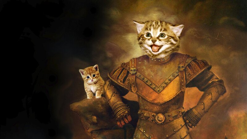 kitten knight with armor