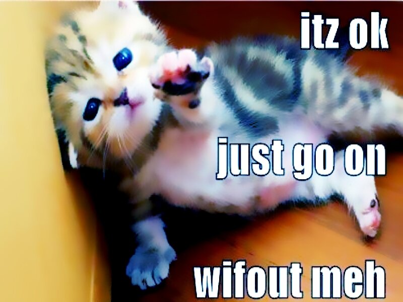 Kitten Lying on Back