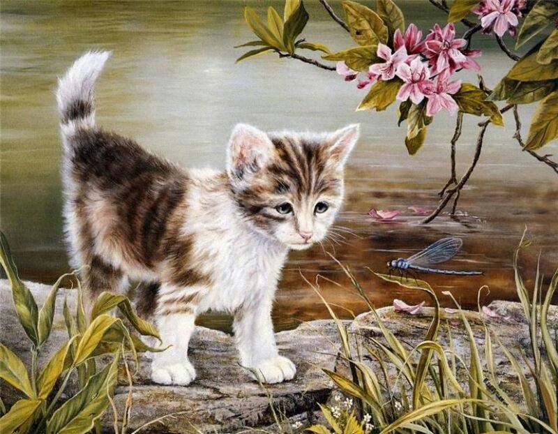 Kitten Near Pond — Brown