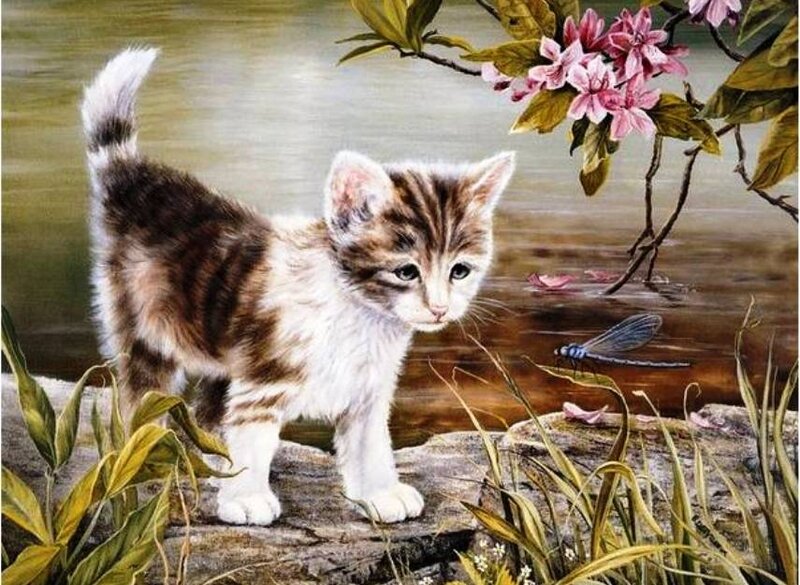 Kitten Near Pond