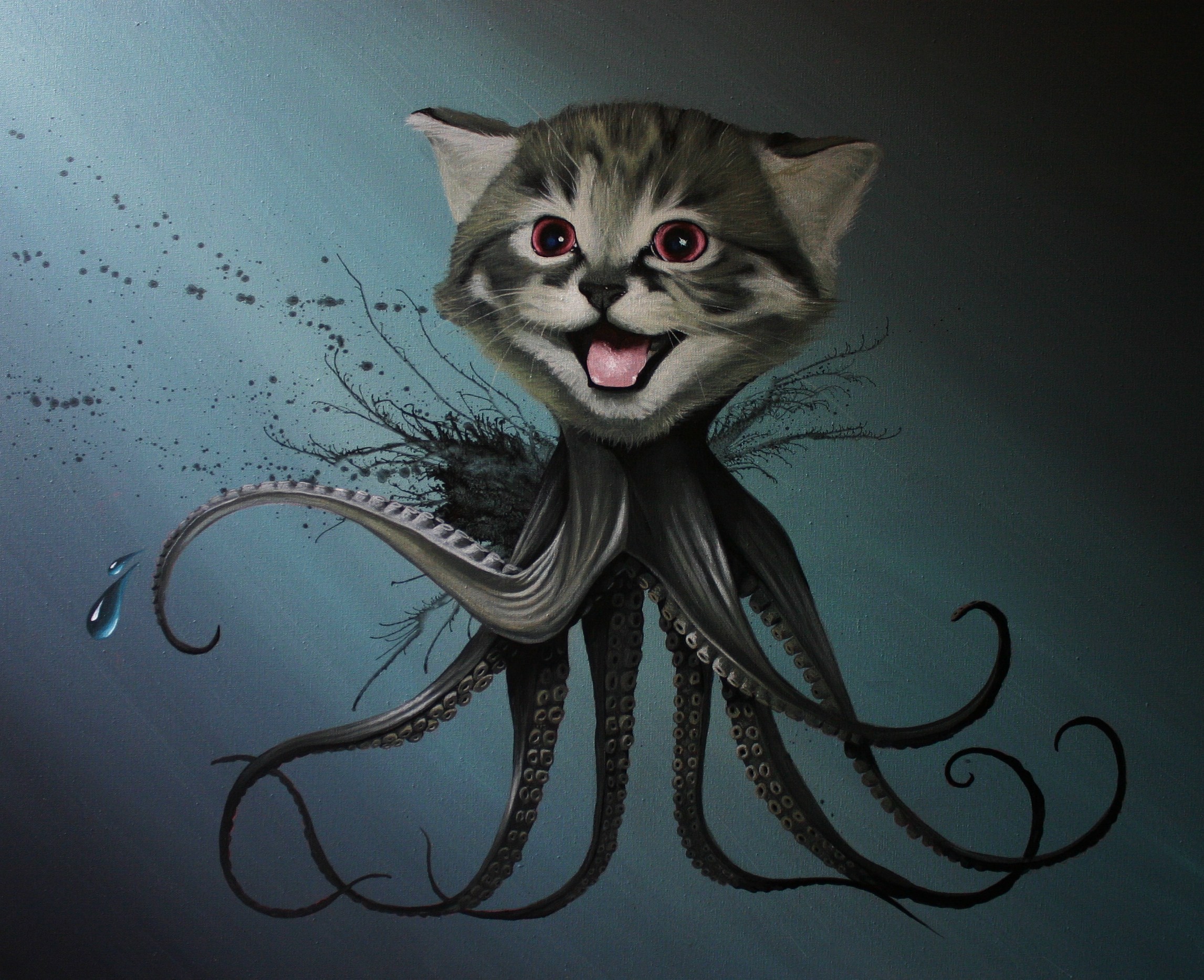 kitten octopus hybrid