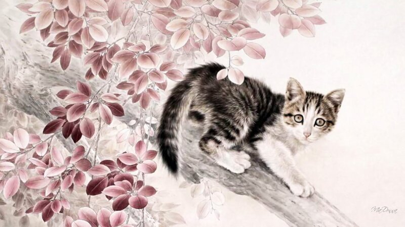 Kitten on a Branch — White
