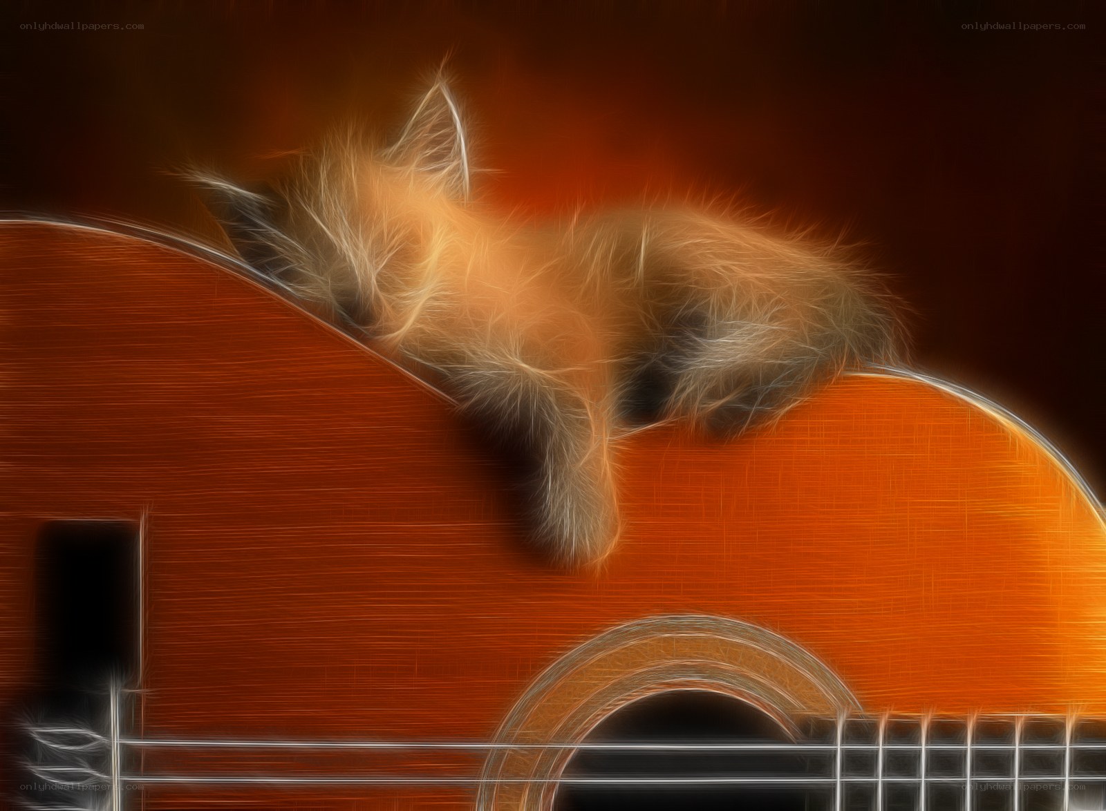 Kitten on a guitar