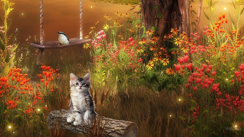 Kitten on a Log
