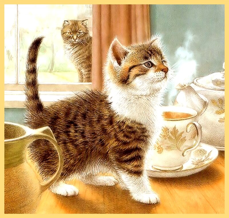 Kitten on a Table