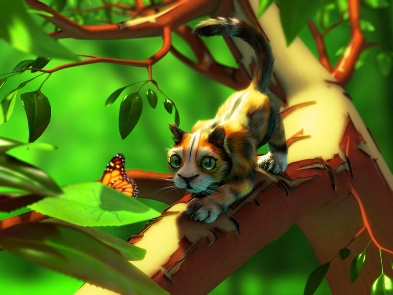 kitten on a tree branch
