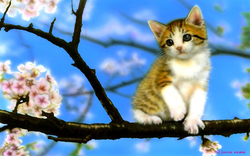 Kitten on a Tree Branch — Blue, Serene